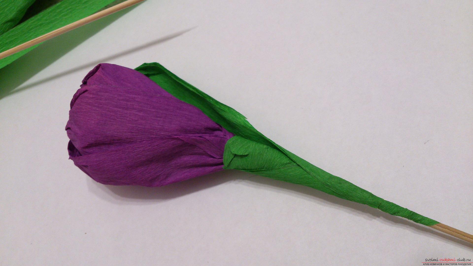 Мастер-класс научит как изготовить цветы из бумаги своими руками и составить из них букеты из конфет.. Фото №15